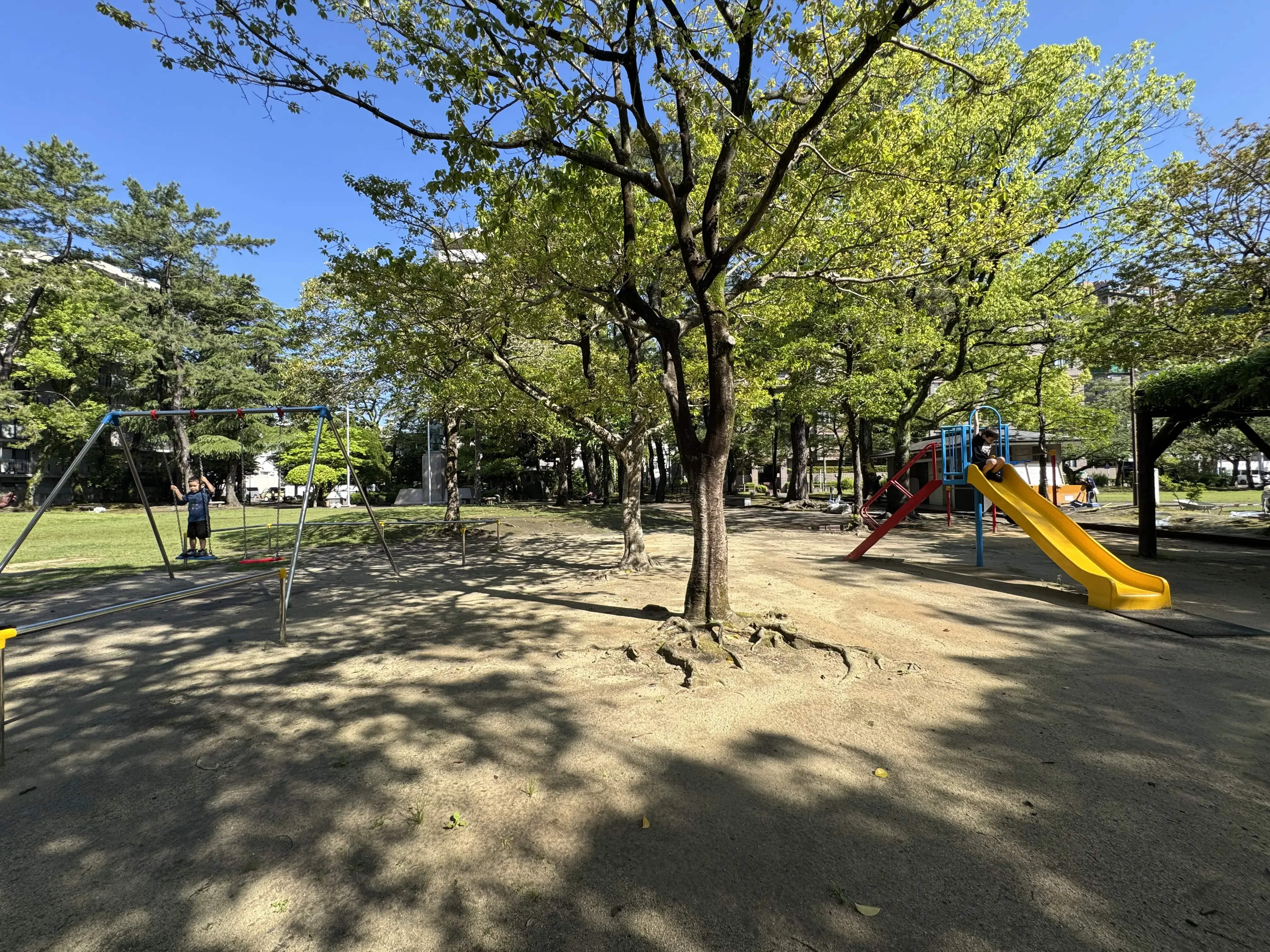 Image 7