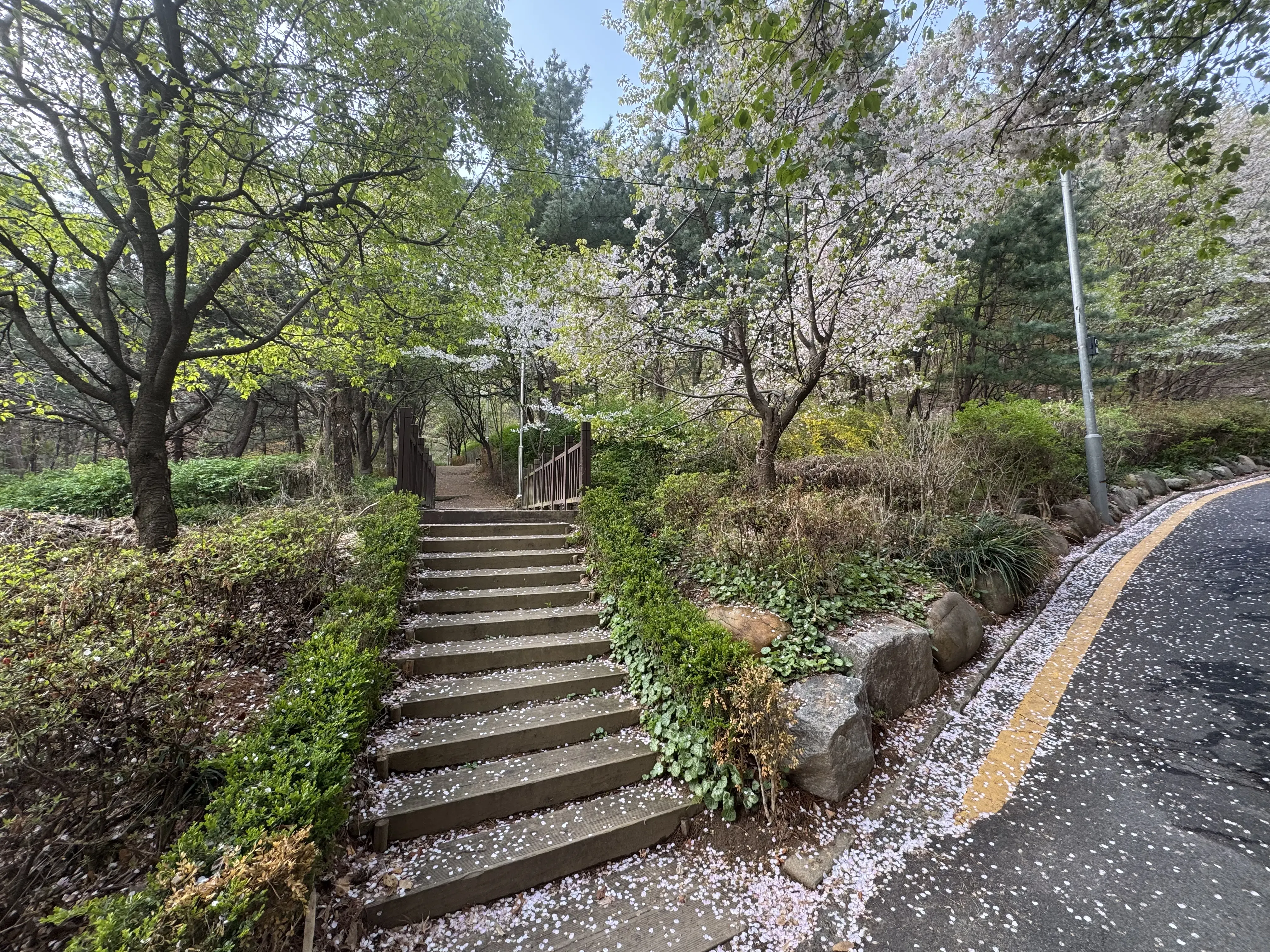 Image 19